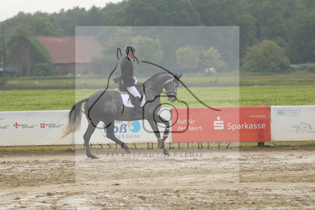 IMG_7930 | jessicahollubetz_pferdephotographie - Realisiert mit Pictrs.com