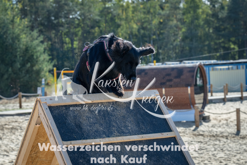 1149_ZZ92094-2 | kk-dogfotos