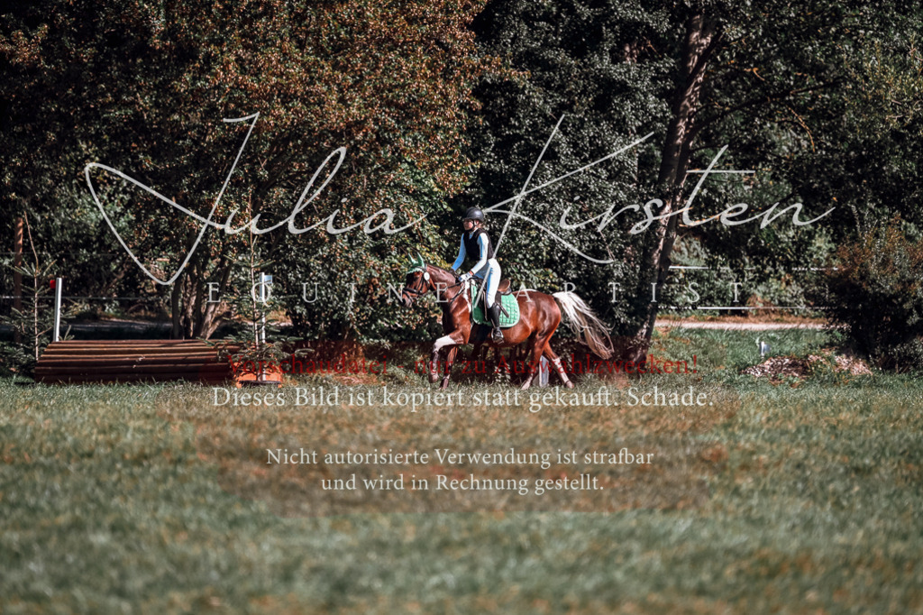 DSC_0852 | Pferde- und Turnierfotografie in Westsachsen. Pferdeportraits, Auftragszeichnungen und intuitive Kunst.