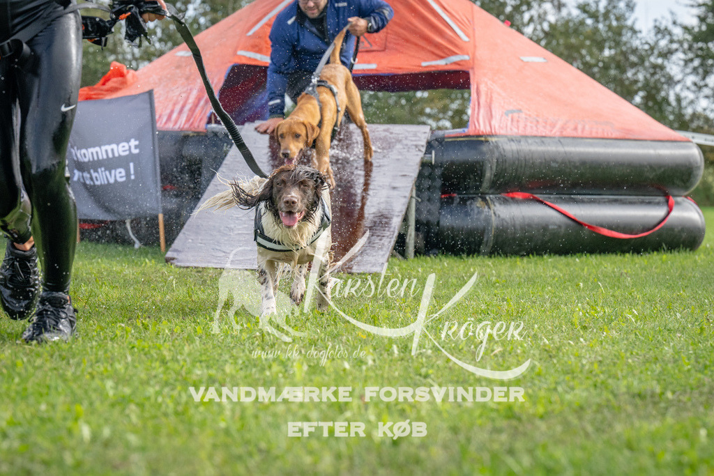 1213-92889 | kk-dogfotos