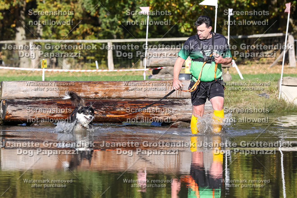 Dog Paparazzi - Strongdog 10-25-8984 | Dog Paparazzi Jeanette Grottendiek Fotografie & Videografie - Realisiert mit Pictrs.com