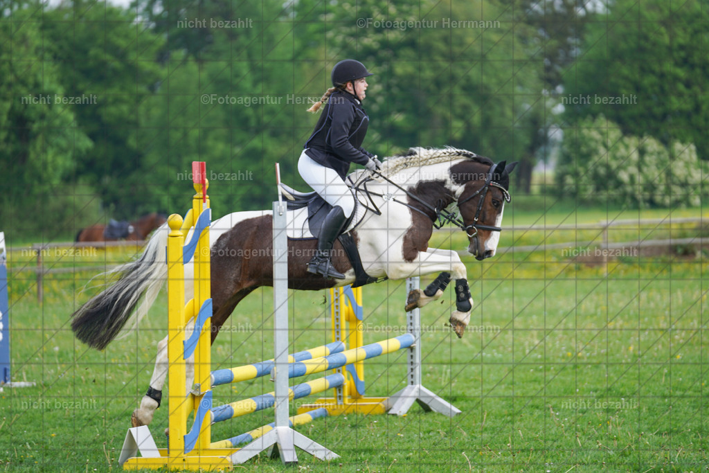 20240509-FAH02200 | Turnierbilder der Turnierfotografen Bayern, Pferdesport Fotografie, Reitsportbilder, Turnier Landberg am Lech, Turnierbilder bayern, Fotoagentur Herrmann