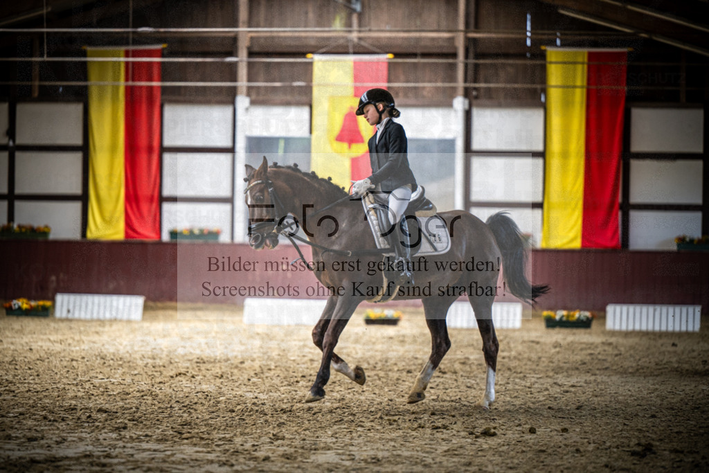 DOS_1698 | Reitturnier Lüdinghausen - Realisiert mit Pictrs.com