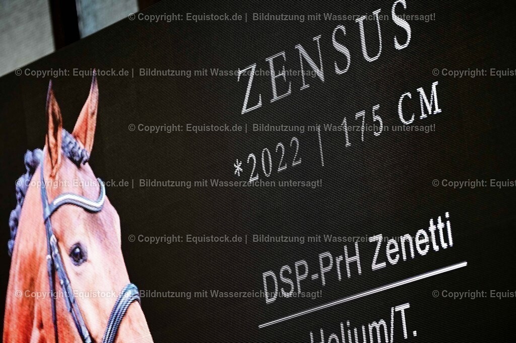 20260307_Hengstvorstellung-Marbach_0055 | equistock