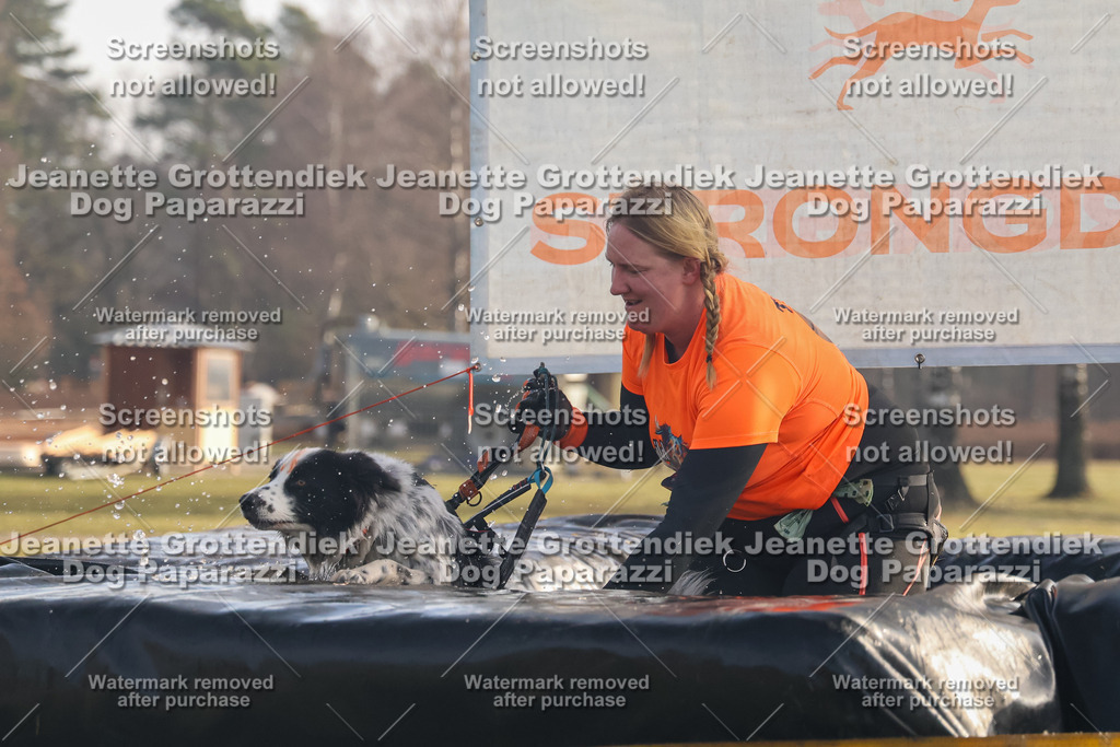 Dog Paparazzi - SD North 0326 900930-292 | Dog Paparazzi Jeanette Grottendiek Fotografie & Videografie - Realisiert mit Pictrs.com