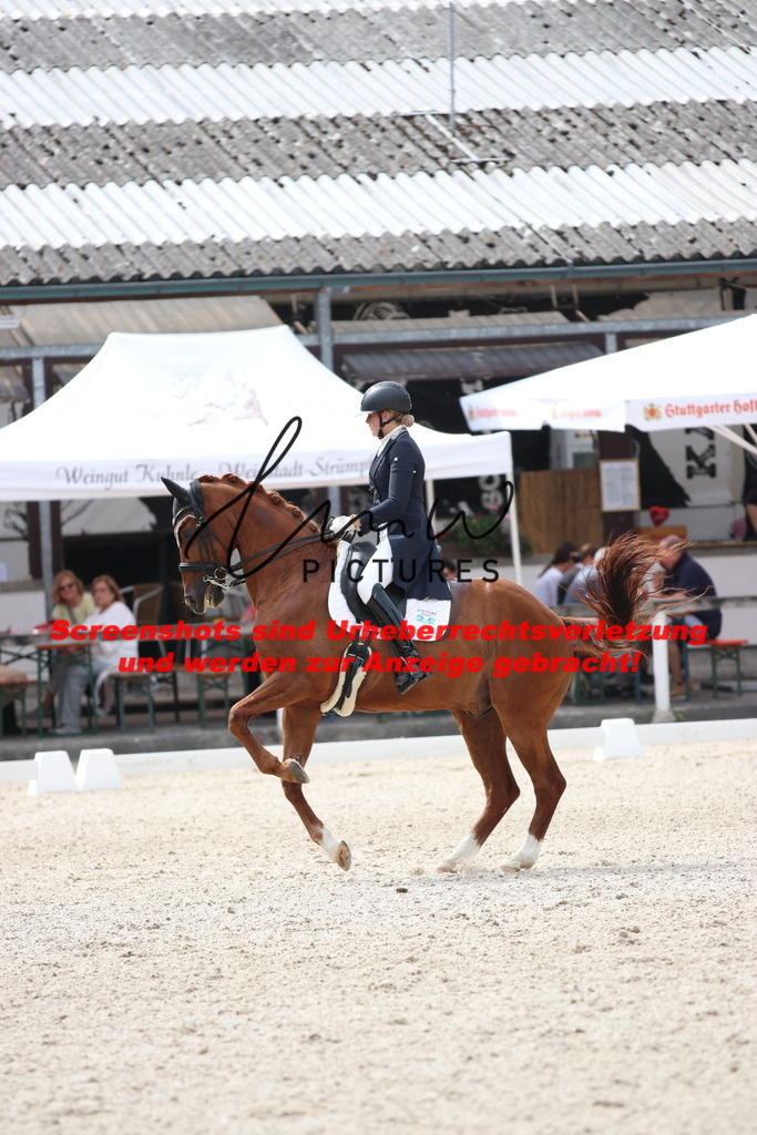 IMG_1478 | lmwpictures - Realisiert mit Pictrs.com