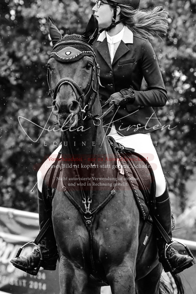 DSC_6595 | Pferde- und Turnierfotografie in Westsachsen. Pferdeportraits, Auftragszeichnungen und intuitive Kunst.