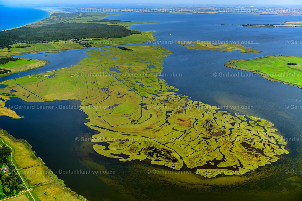 3638233 | Nationalpark Vorpommersche Boddenlandschaft, GROßER KIRR 25.08.2016 Küstenbereich der Ostsee - Insel Großer Kirr mit Salzwiesen und Prielen im Bundesland Mecklenburg-Vorpommern.