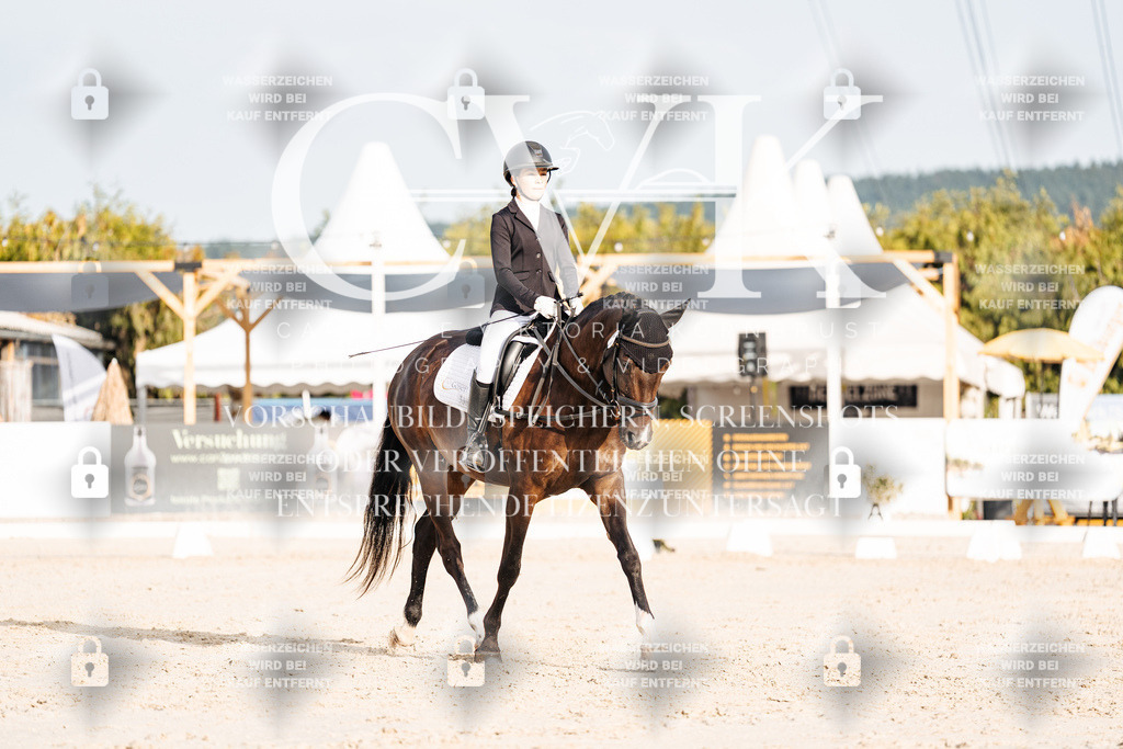 CK903891 | Turnierfotografie Pferdefotografie Trier Rheinland-Pfalz Pferdesport Reitsport Tierfotografie Sportfotografie Pferdevideo Pferdevideografie Equestrianvideography equestrianphotography  - Realisiert mit Pictrs.com