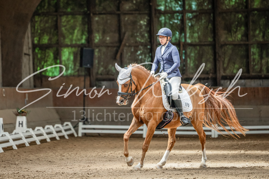 20250621-_3LI6428 | Tierfotografie Pferde, Hunde, Katzen, Haustiere.
Turnierfotografie Reitturniere, Reiten, Springreiten, Dressur in Hanau, dem Main-Kinzig-Kreis und dem Rhein-Main- Gebiet um Frankfurt