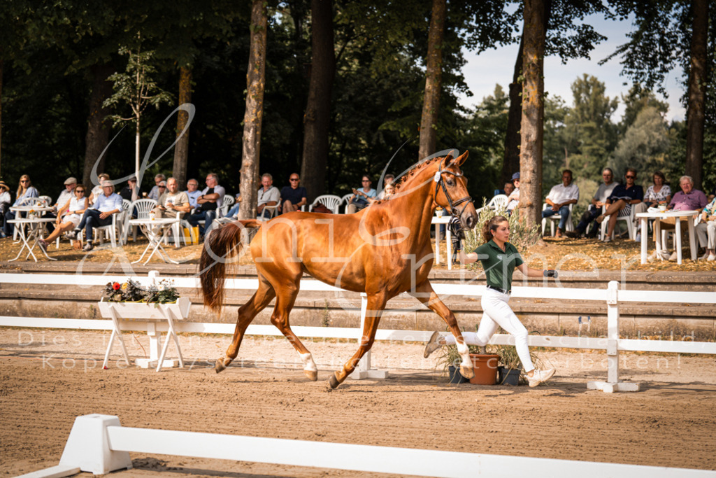 FrER00065 | Leoni Ertmer Photography - Realisiert mit Pictrs.com