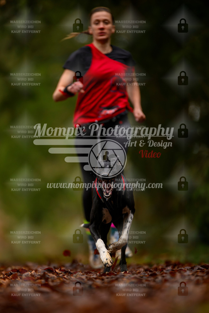 MompixPhotography_2SSTSSBW_2025_SO_Canicross-45 | PayLife