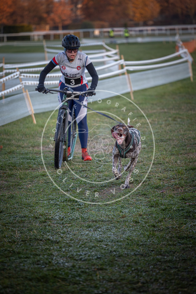 CaniXpix_0L8A1002 | Hundefotografie, Tierfotograf, Pfotenfotografie, Fotoshooting Hund, Hunde Portrait, Hundesport, Hundeportraits, Heideshooting, Hunde, Sportfotograf, Hundefotograf, Turnierhundsport, THS,  - Realisiert mit Pictrs.com