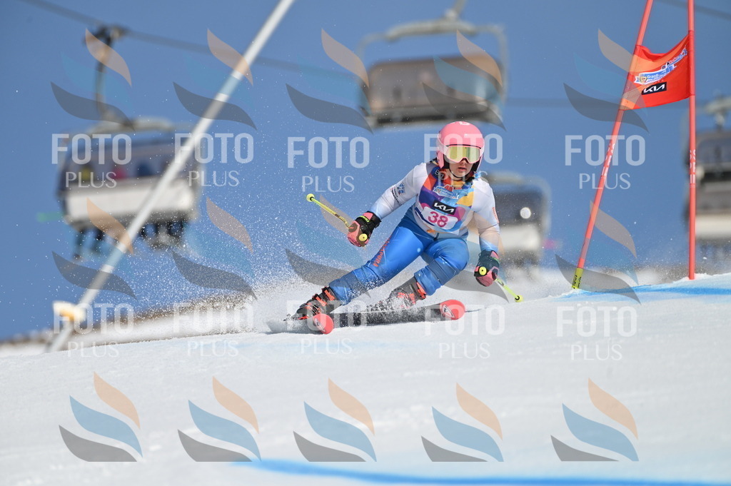 BGV_8299 | holidayphoto