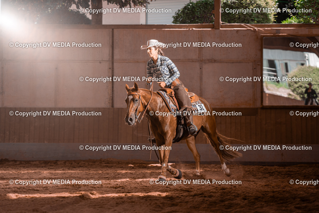 NE100808 | dv-media-shop - Realisiert mit Pictrs.com