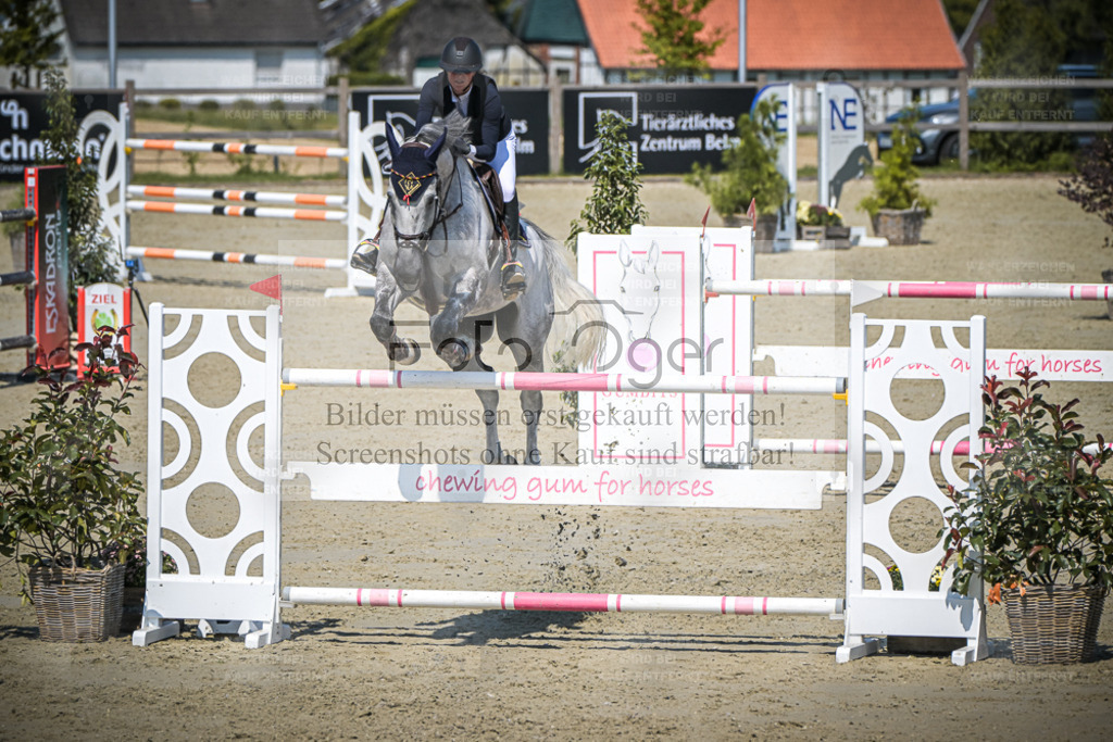 DOS_2213 | Entdecke hochwertige Reitturnierfotos von Foto Oger. Professionell, emotional und authentisch – jetzt Lieblingsmomente im Shop bestellen. - Realisiert mit Pictrs.com