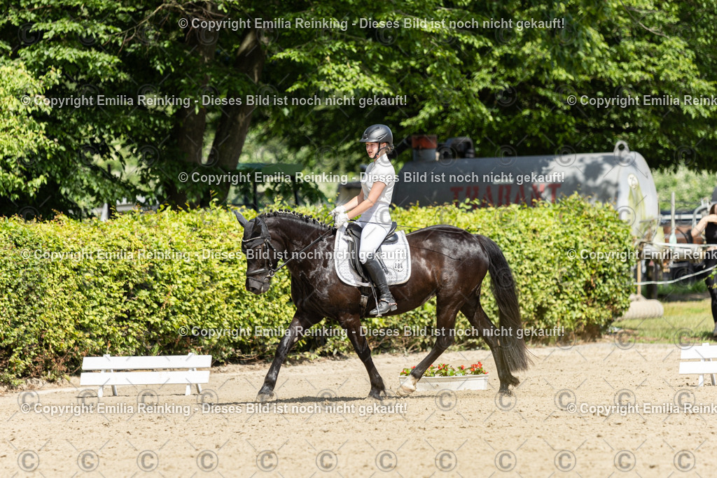 CL5A0658 | Emilia Reinking Fotografie - Realisiert mit Pictrs.com