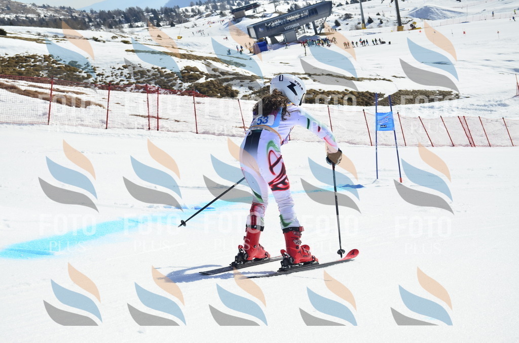 _ELE0158 | holidayphoto