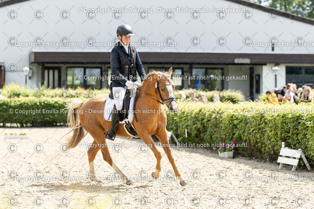 CL5A8053 | Emilia Reinking Fotografie - Realisiert mit Pictrs.com