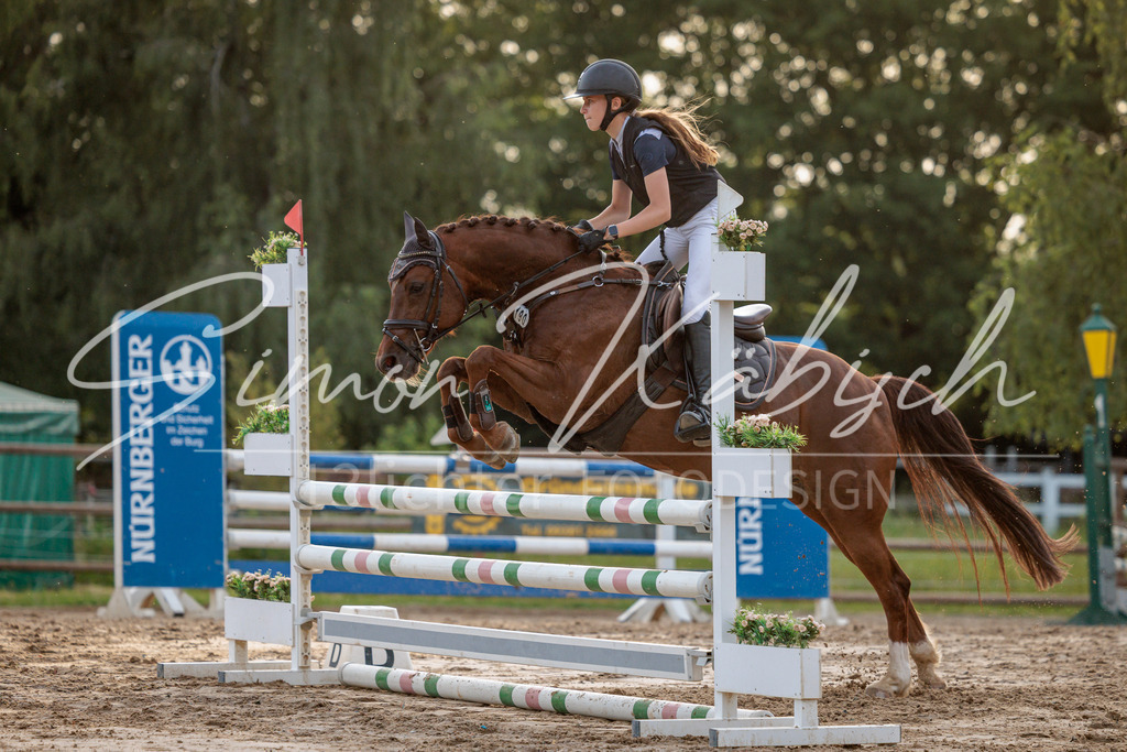 20260529-_3LI1930 | Tierfotografie Pferde, Hunde, Katzen, Haustiere.
Turnierfotografie Reitturniere, Reiten, Springreiten, Dressur in Hanau, dem Main-Kinzig-Kreis und dem Rhein-Main- Gebiet um Frankfurt