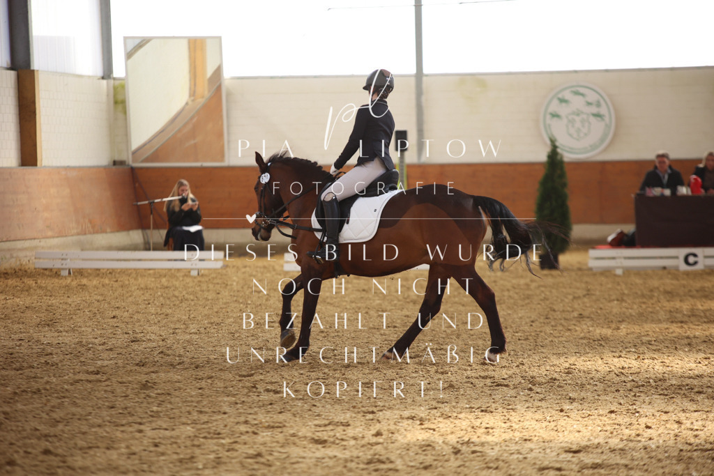 IMGT3588 | pl-fotografie