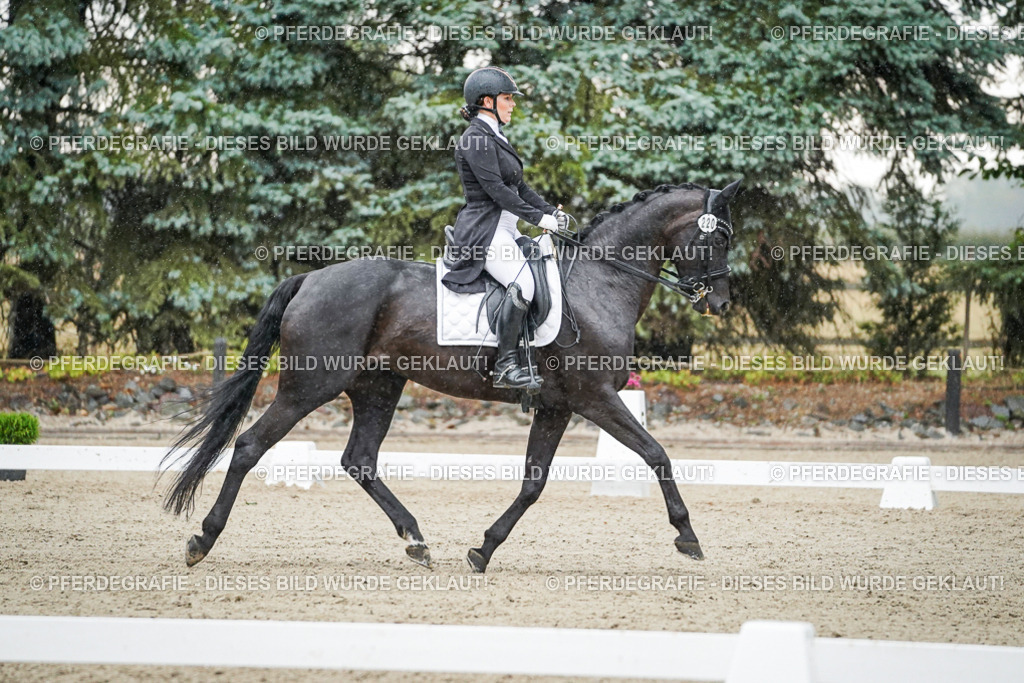 DSC08274 | Pferdegrafie