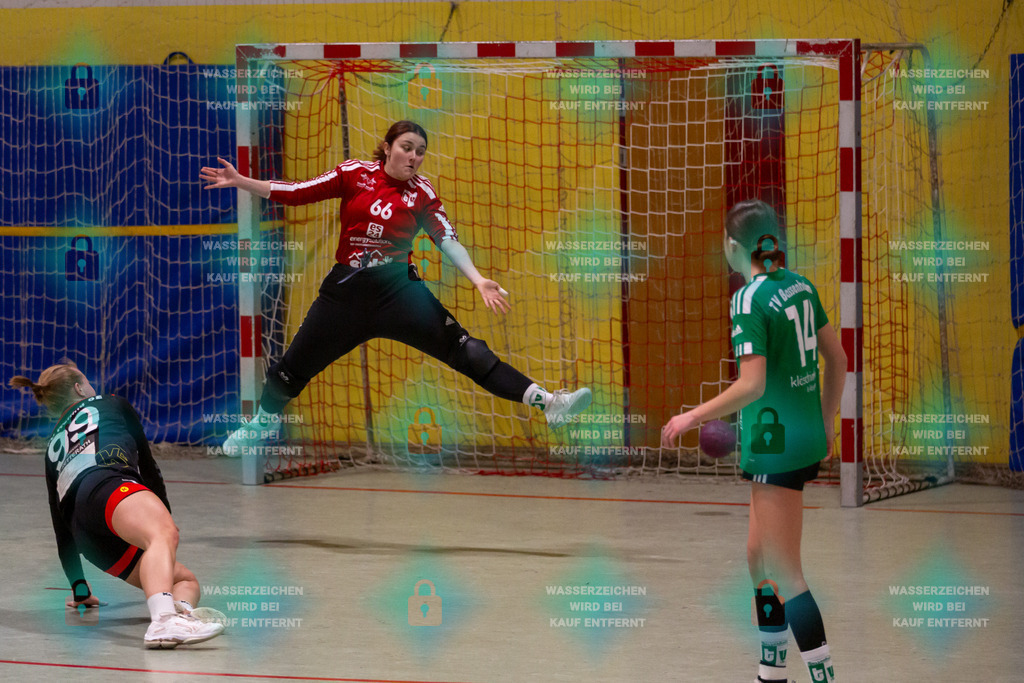_HP_4929_3000o | TV Welling Damen vs. TV Bassenheim 05.01.2024