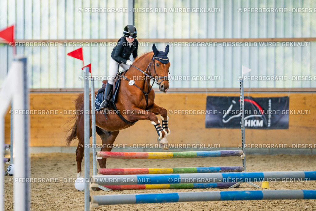 DSC01297 | Pferdegrafie