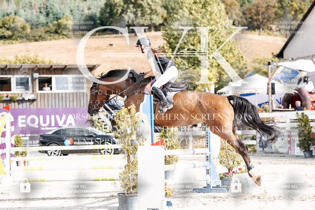 CK909056 | Turnierfotografie Pferdefotografie Trier Rheinland-Pfalz Pferdesport Reitsport Tierfotografie Sportfotografie Pferdevideo Pferdevideografie Equestrianvideography equestrianphotography  - Realisiert mit Pictrs.com
