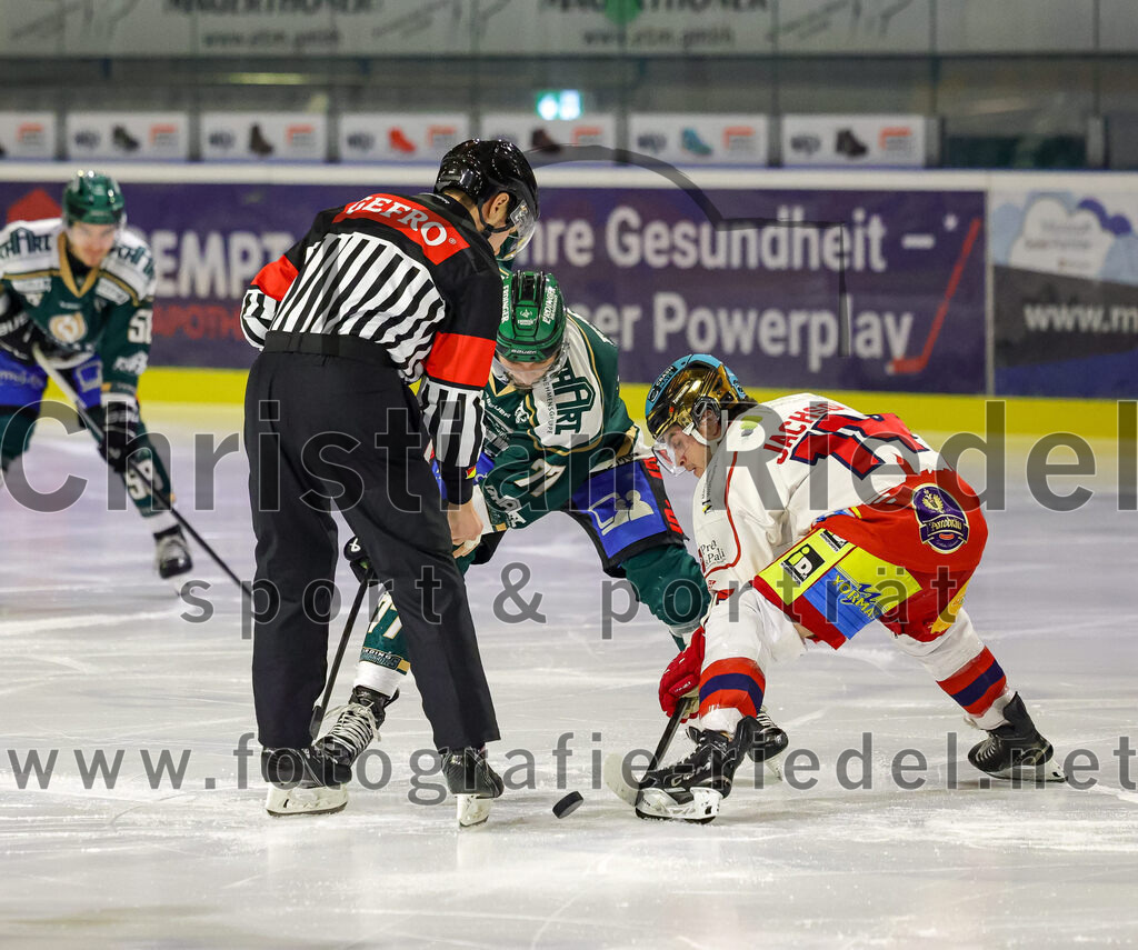 2026-02-20_117_TSV_Erding_gegen_Deggendorfer_SC | Erding, Deutschland, 20.02.2026:Eishockey, Oberliga Süd 2025 / 2026, 49. Spieltag, TSV Erding gegen Deggendorfer SC, Endergebnis: 4:1Philipp Michl (Erding Gladiators, #77)Foto: Christian Riedel / fotografie-riedel.net