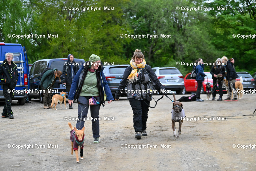 DSC_5375 | Hallo und herzlich Willkommen auf meiner Shop-Seite Fynn Most.

Ich wünsche Dir viel Spaß beim stöbern durch die Bilder, wenn Du Fragen hast oder Bilder vermisst, kannst du mir gerne eine Nachricht schreiben. - Realisiert mit Pictrs.com