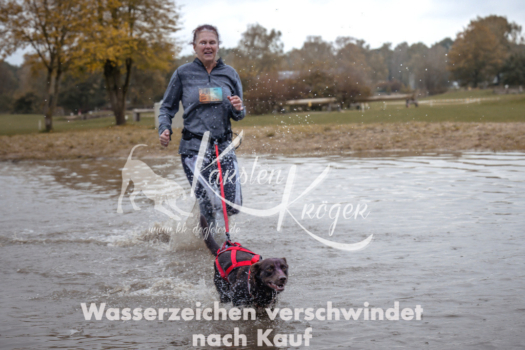 1344_ZZ94822 | kk-dogfotos