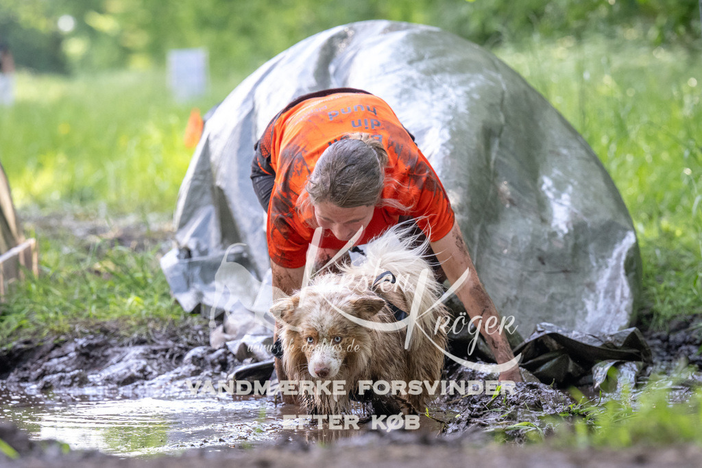 1204_ZZ91198 | kk-dogfotos