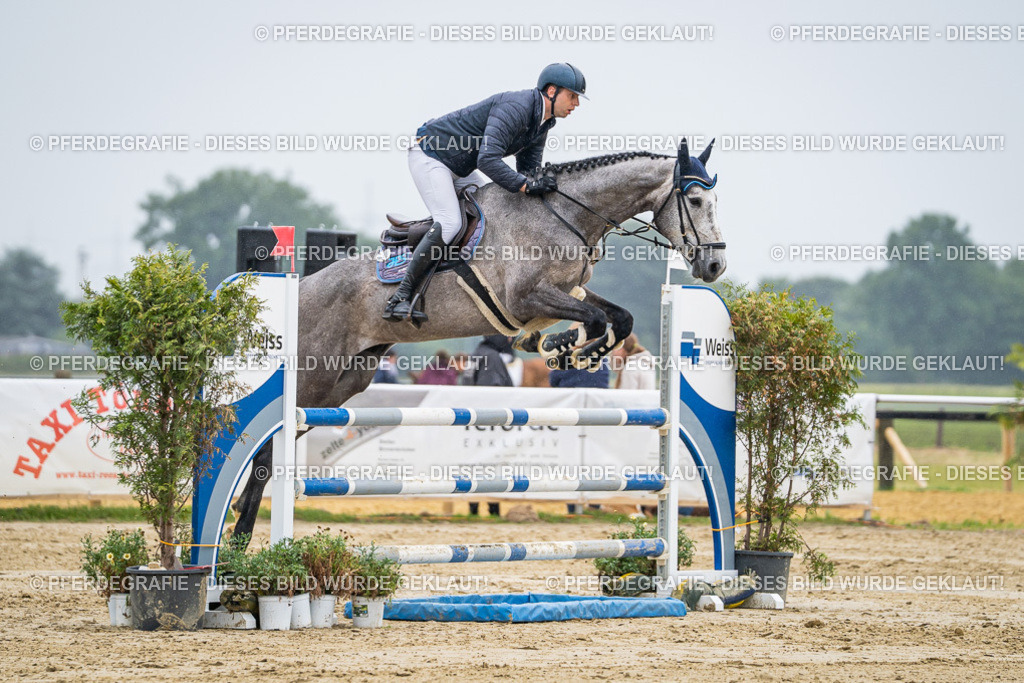 DSC02863 | Pferdegrafie