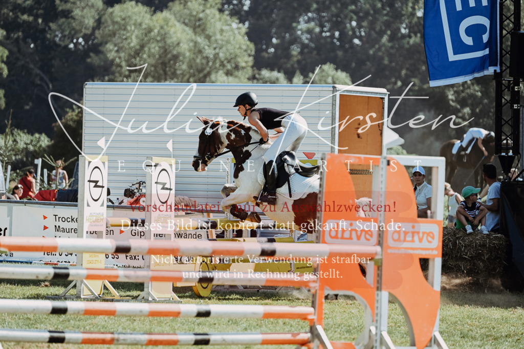 DSC_6066 | Pferde- und Turnierfotografie in Westsachsen. Pferdeportraits, Auftragszeichnungen und intuitive Kunst.
