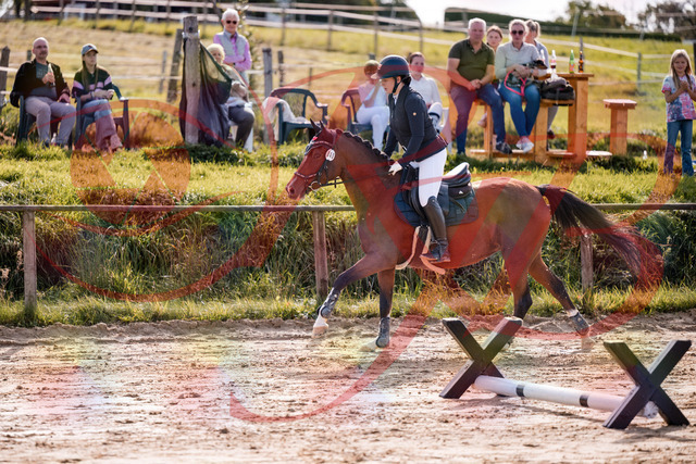 2026_10_03_Siefer-Hof_145735_Z81_39606037 | Professionelle Reitsport-, Turnier- und Eventfotografie von Robert Broda. Galerien mit ausgewählten und bearbeiteten Bildern direkt online ansehen und bestellen.