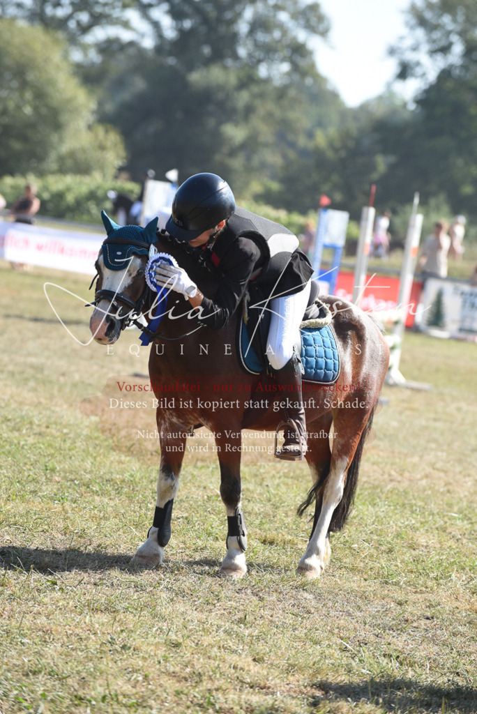 DSC_6172 | Pferde- und Turnierfotografie in Westsachsen. Pferdeportraits, Auftragszeichnungen und intuitive Kunst.