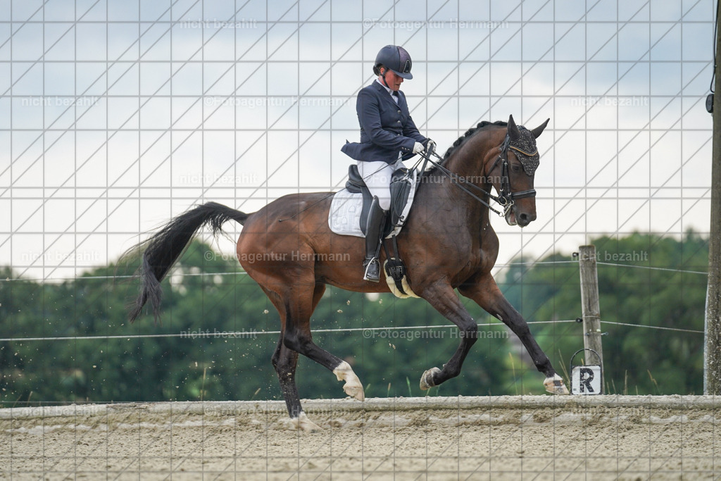 20230826-FAH06261 | Forstinning, 2023, Dressurturnier, Turniersportbilder, Turnierfotografen Bayern, Fotoagentur Herrmann, Reitsportfotografie, Turnierbilder