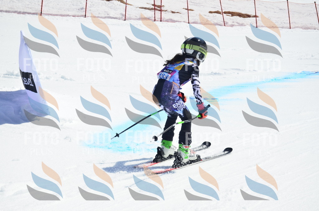 _ELE0855 | holidayphoto