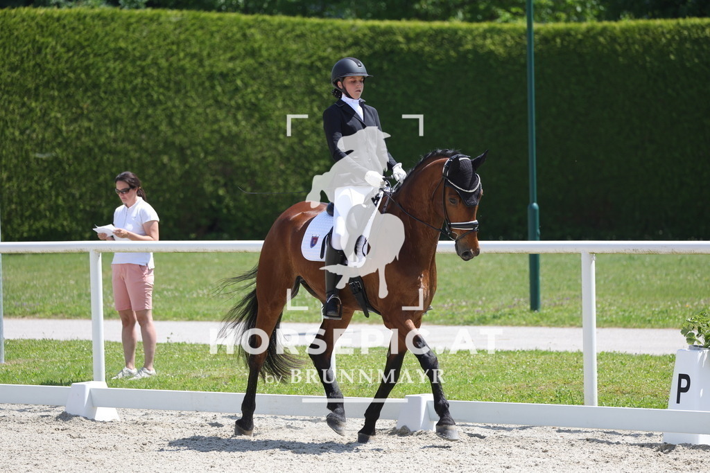 0P6A5796 | Willkommen bei Brunnmayr - Design & Fotografie – Ihrem Spezialisten für Reitturniere und Pferdeveranstaltungen in Oberösterreich, Salzburg und Bayern! Seit über 17 Jahren sind wir leidenschaftlich dabei.