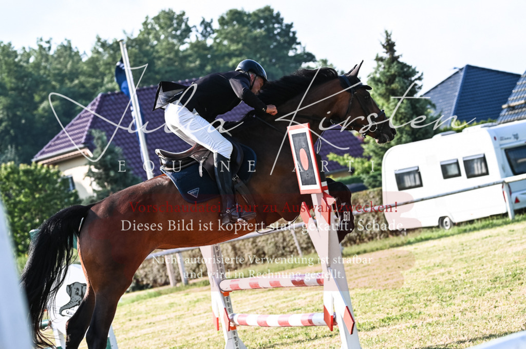 DSC_7471 | Pferde- und Turnierfotografie in Westsachsen. Pferdeportraits, Auftragszeichnungen und intuitive Kunst.