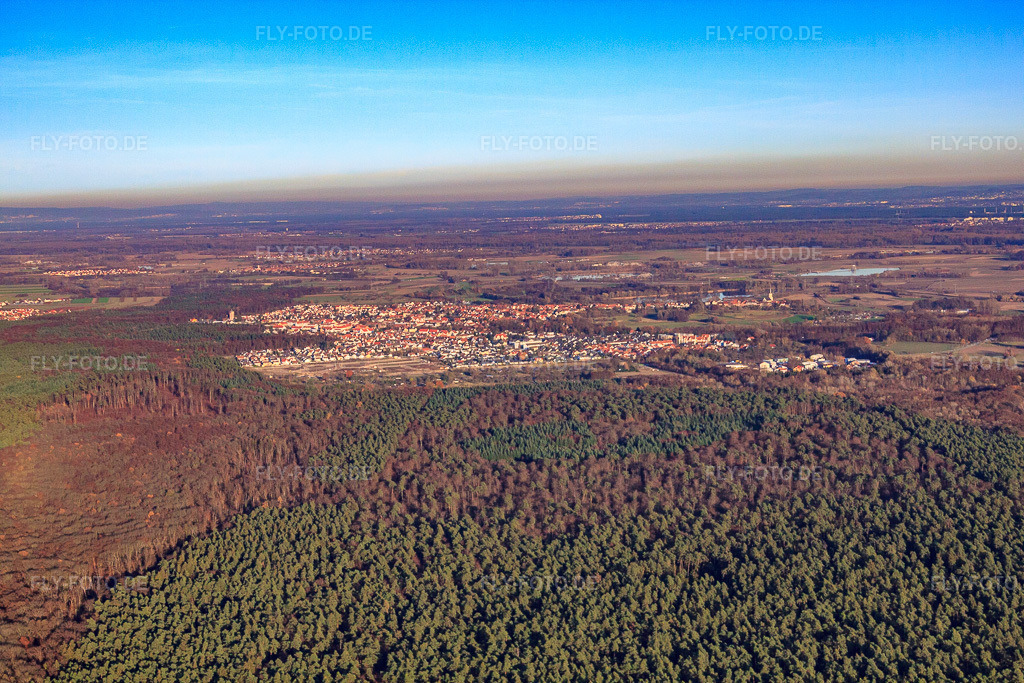 Luftbild: Stadt hinterm Bienwald von Südwesten in Jockgrim im Bundesland Rheinland-Pfalz in Deutschland. Foto: IMG_22627.jpg vom 19.11.2009 durch Werner Riehm/FLY-FOTO.de