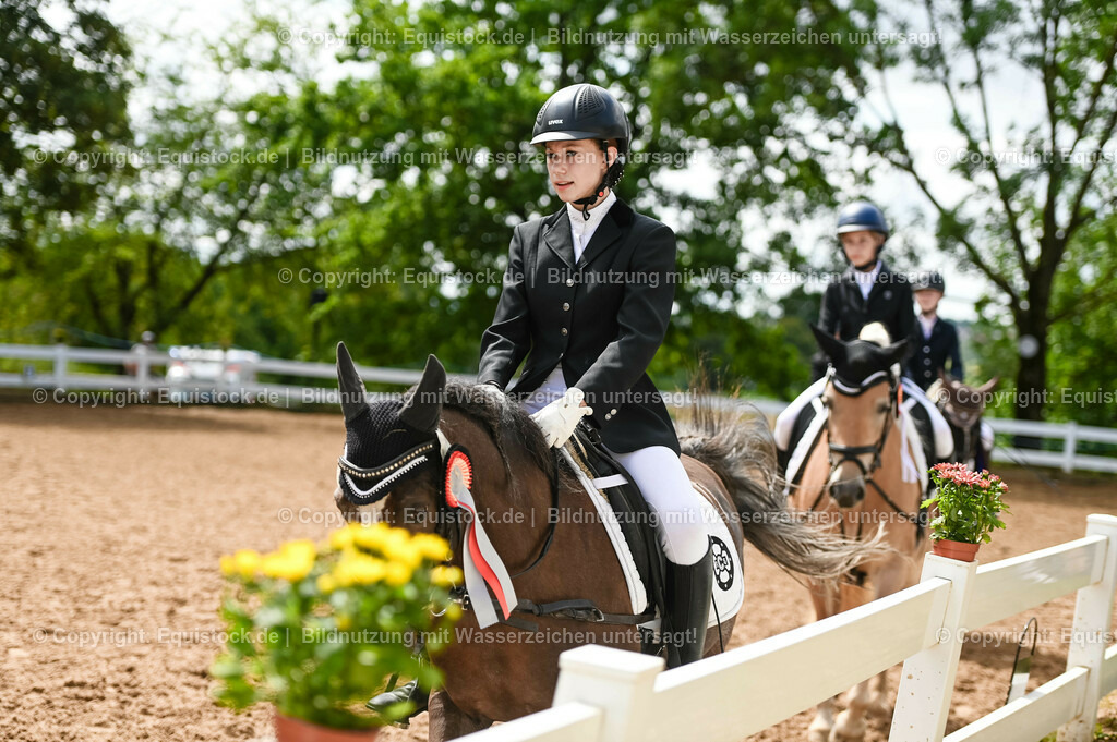 20230716_10-2_Reiter-WB Schritt - Trab - Galopp_0216 | equistock