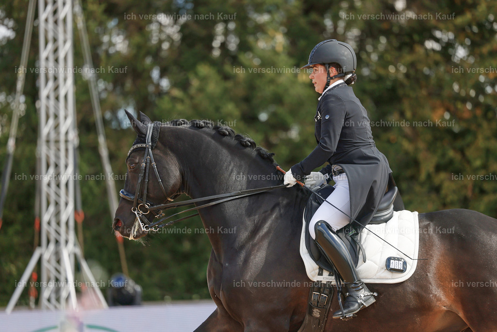09_2-183-DRESSUR  S_  -StoibPH-5908 | working equitationturnier fotograf videograf stoibphotography marixx film working equitation deutschland reitsport turnierfotografie eventfotografie equestrian events