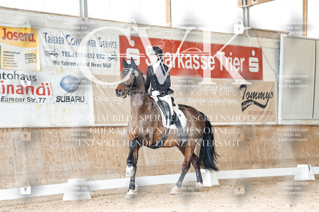 CK901954 | Turnierfotografie Pferdefotografie Trier Rheinland-Pfalz Pferdesport Reitsport Tierfotografie Sportfotografie Pferdevideo Pferdevideografie Equestrianvideography equestrianphotography  - Realisiert mit Pictrs.com