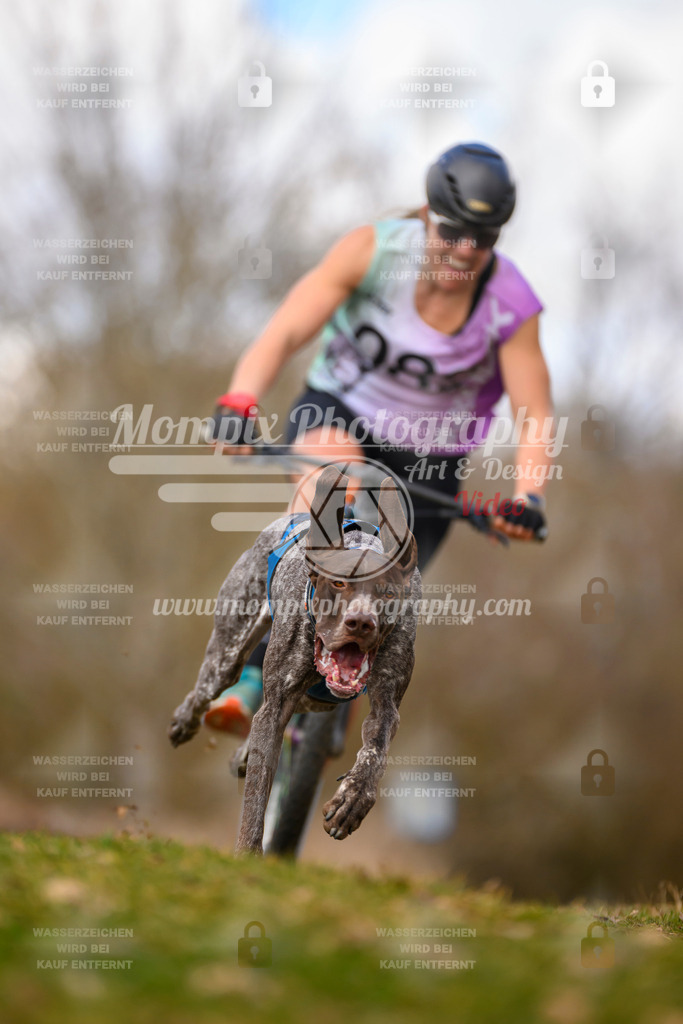 MompixPhotography_10Schwabentrail2026_SO_Scooter-78 | PayLife