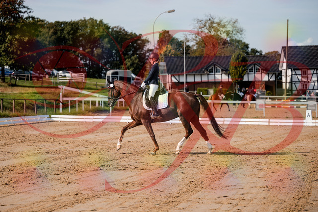 2026_10_03_Siefer-Hof_114730_Z63_26534909 | Professionelle Reitsport-, Turnier- und Eventfotografie von Robert Broda. Galerien mit ausgewählten und bearbeiteten Bildern direkt online ansehen und bestellen.