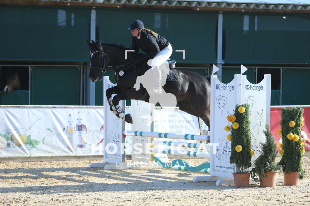 DL2Q7590 | Willkommen bei Brunnmayr - Design & Fotografie – Ihrem Spezialisten für Reitturniere und Pferdeveranstaltungen in Oberösterreich, Salzburg und Bayern! Seit über 17 Jahren sind wir leidenschaftlich dabei.