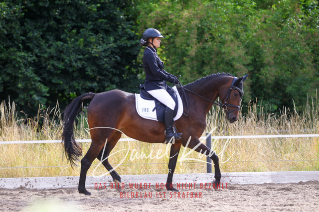 DKP45711 | Turniersportfotografie; Pferdefotografie; Dressurfotografie