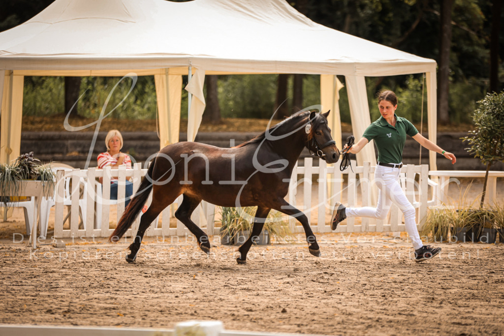 03.So00098 | Leoni Ertmer Photography - Realisiert mit Pictrs.com